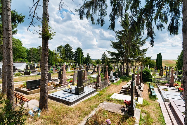 Sprzątanie grobów